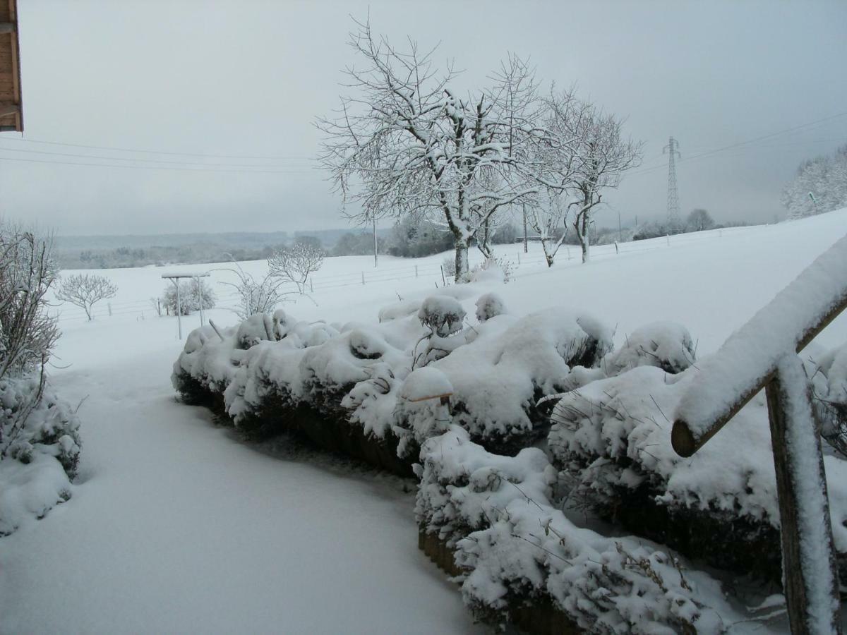 Holiday home Les Bouc'tins Molain (Jura)